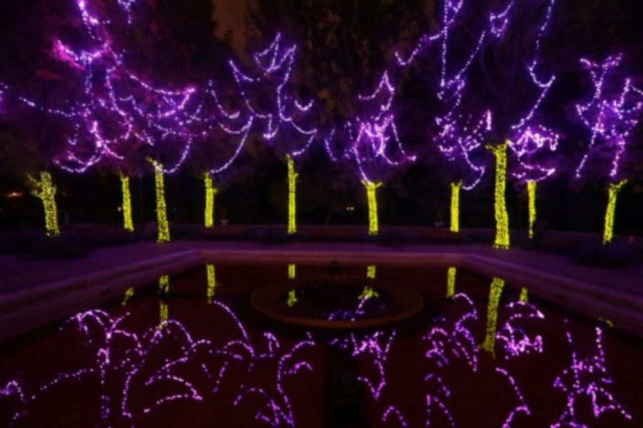 Lighting up Botanical Garden for the holidays…