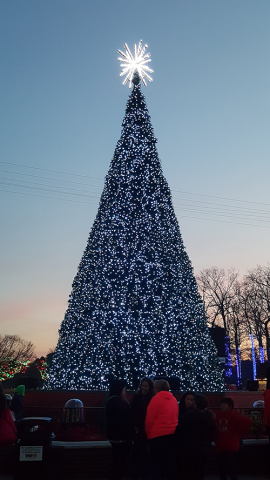 Six Flags Great Adventure: Holiday in the Park Review