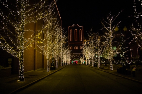 Join Anheuser-Busch for their annual Brewery Lights event