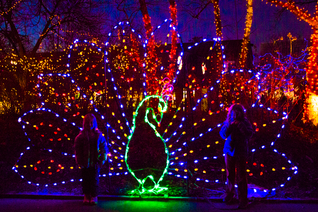 Indianapolis Zoo Presents Christmas at the Zoo!